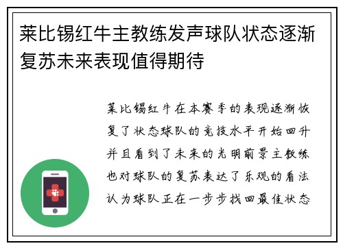 莱比锡红牛主教练发声球队状态逐渐复苏未来表现值得期待